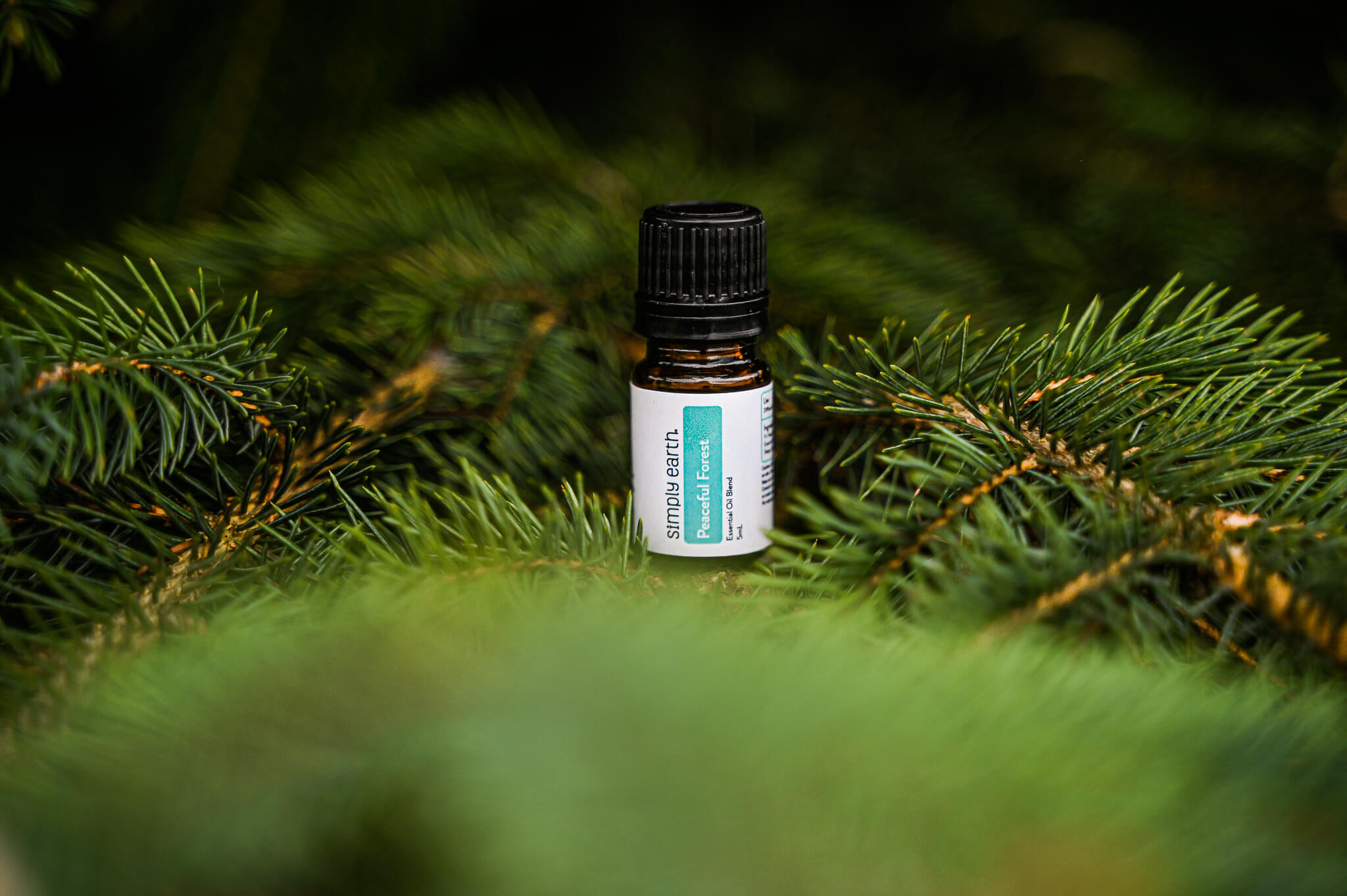 Peaceful Forest Diffuser Blend