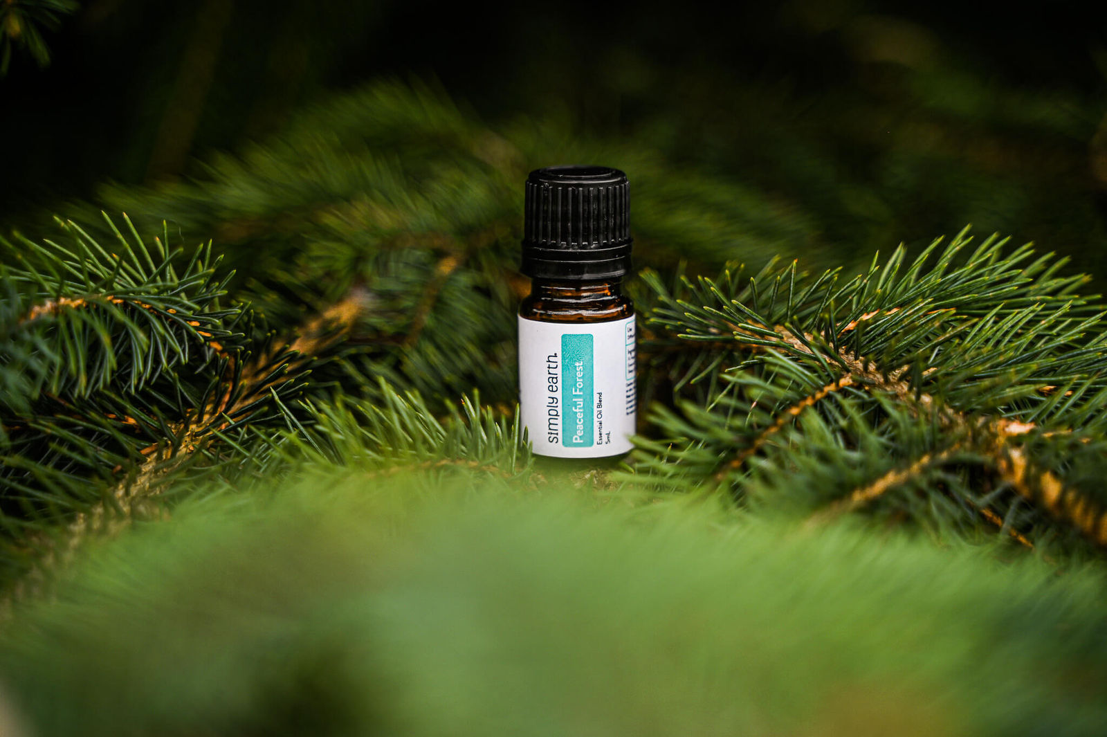 Peaceful Forest Diffuser Blend