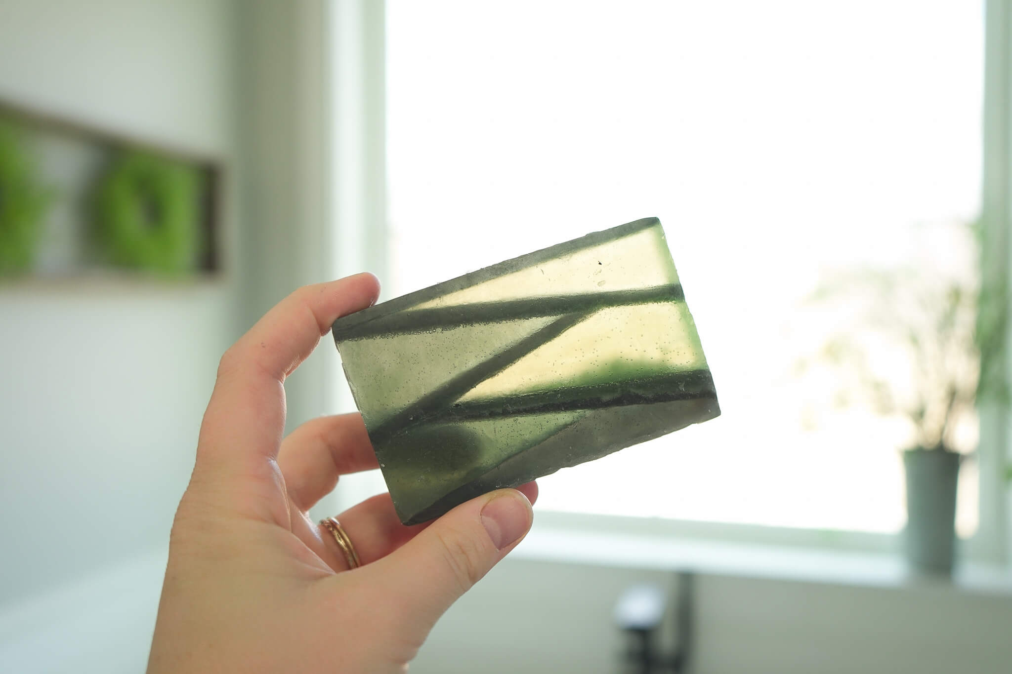 Pine Forest Melt & Pour Soap