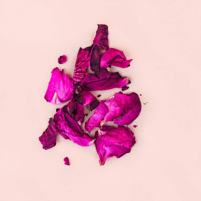 Dried Rose Petals