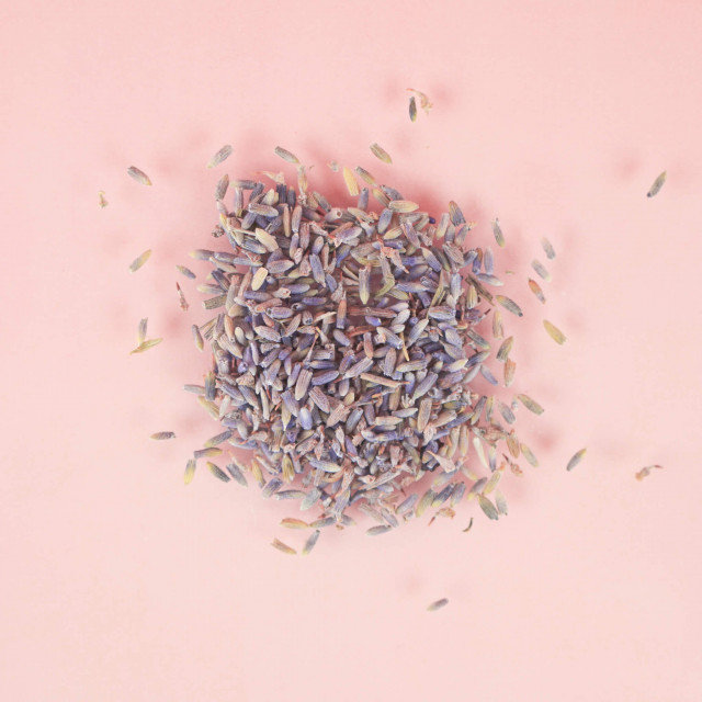 Dried Lavender Buds