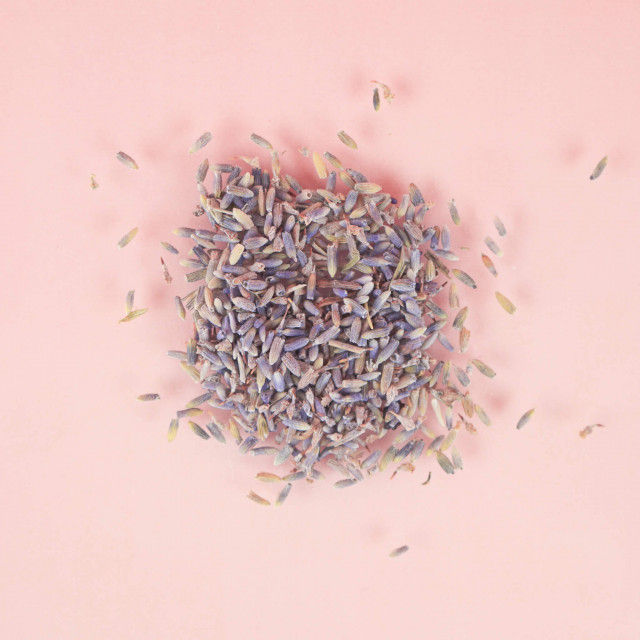 Dried Lavender Buds