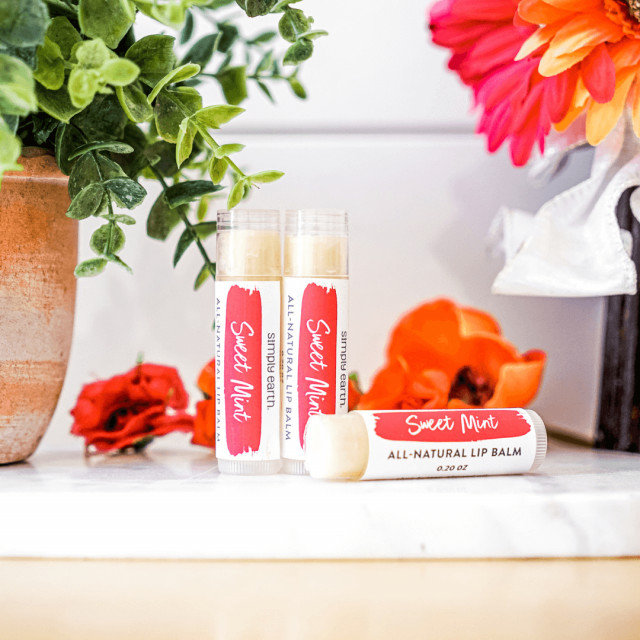 mamaearth vitamin c lip care kit Buy Balm SPF 50 with Coconut Oil and Shea Butter for Brightening Dry Lips Online Natural DIY Lip Balms in No Time Mamaearth Vitamin C Natural Lip