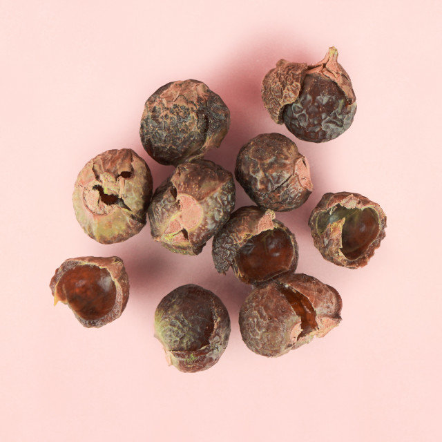 Soap Nuts